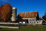 Saratoga County Farm I