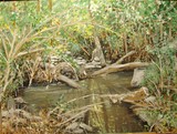 Alma Creek  Watercolor