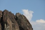 look closely at pinnacle ~ Marmot (Eagle food)