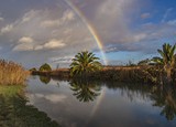 Alhambra Creek & Rainbow - December 2019