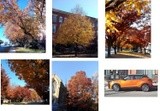 Autumn In Baltimore City