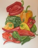 variety of peppers 