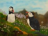 Atlantic Puffins