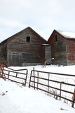 Saratoga County Barns & Hay Conveyer II