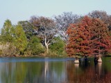 Autumn in Argyle