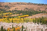 Fall Arrives in the High Country