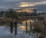 Alhambra Creek Dawn - November 2021