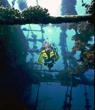 Wreck Dive