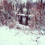 snow  creek montana