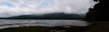 Lake Quinault, Washington