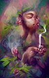 Monkey Smoking Weed