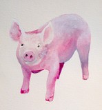 Winnie the Little Pig #1