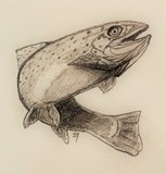 charcoal trout 1