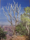 Grand Canyon  Metallic Painting