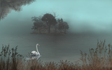 island mist and swan