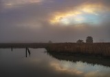 Dawn Reflection at the Shoreline