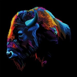 Vibrant Bison Portrait