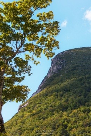 Old Man of the Mountain, Summer, P2273