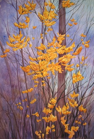 Tanya Antimirova Portfolio