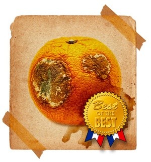 best orange ever
