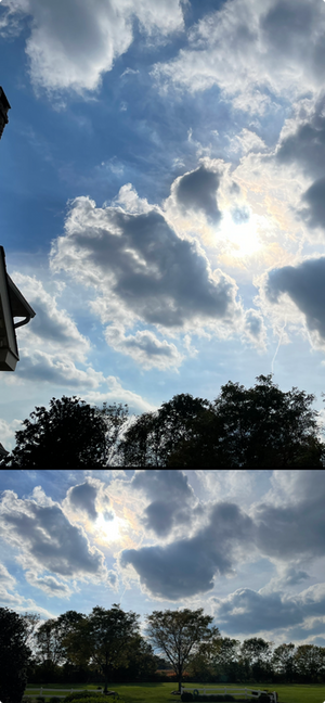 View recent photos 625
