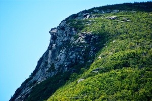 Old Man of the Mountain, Summer, P2279