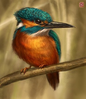 Kingfisher