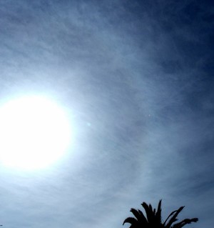 Sun Halo 8