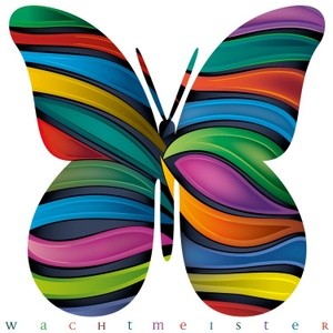 Multicolored Wave Butterfly (2026)