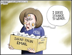 Palin Email (Cartoon)