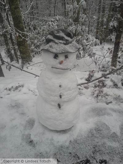 The Perfect Snowman