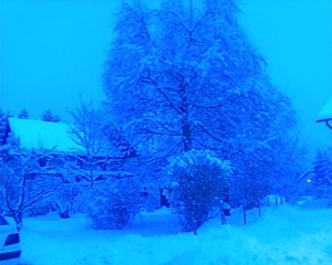 Tatjana Prelog Portfolio