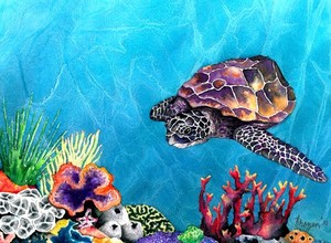 Sea Turtle