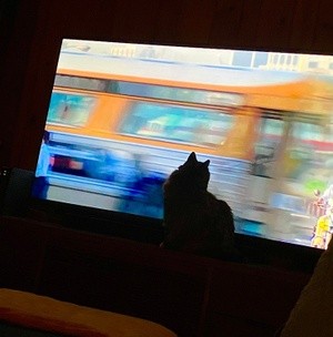PT Enjoying TV