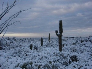 snow in phoenix  1