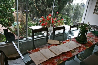 Nira Dabush Portfolio