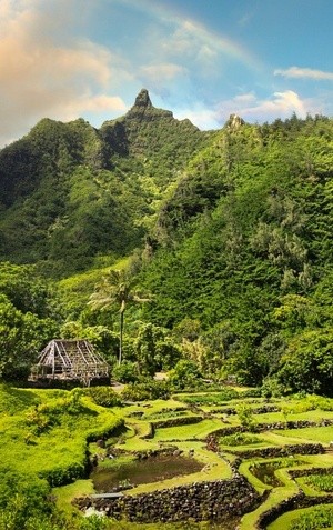 Limahuli Garden & Preserve, National Tropical Botanical Garden