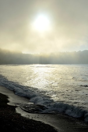 Rolling Fog over Bay