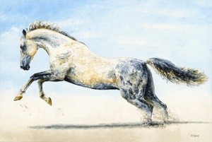 Break Free - Arabian Horse