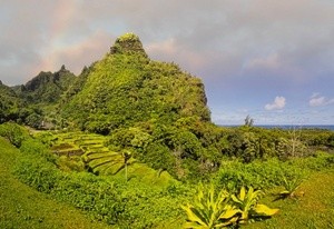 Limahuli Garden & Preserve, National Tropical Botanical Garden 2