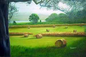 Hay Bales