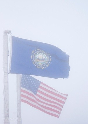 Flags in Fog