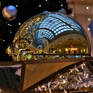 BEAUTY IN A XMAS BALL