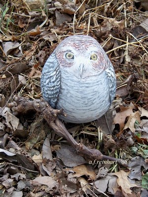 Owls ~ Gourd Art