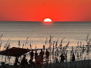 Thomas Curry Portfolio