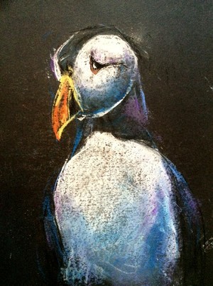 Puffin Drawing