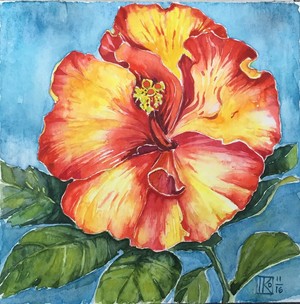 Hibiscus