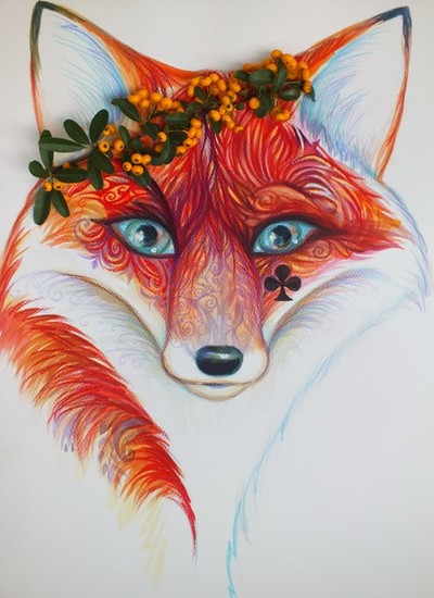 Magique fox