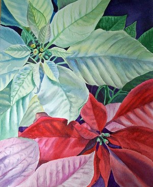 Christmas Poinsettia