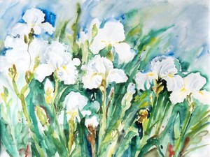 White Irises ( Red Cross donation)